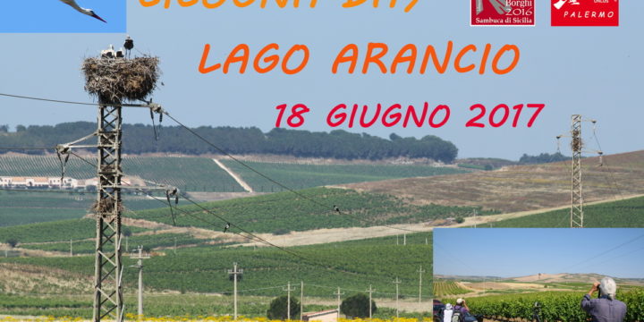 CICOGNA DAY AL LAGO ARANCIO – SAMBUCA DI SICILIA (AG), DOMENICA 18 GIUGNO 2017