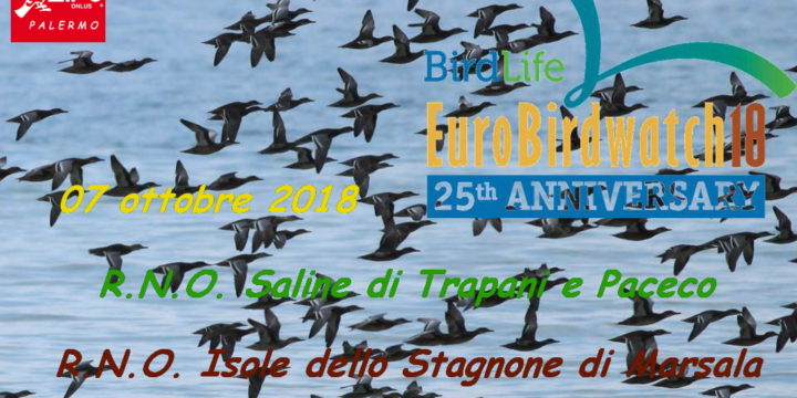 Eurobirdwatch 2018:  domenica 07 ottobre “R.N.O. Saline di Trapani e Paceco” e “R.N.O. Isole dello Stagnone di Marsala”