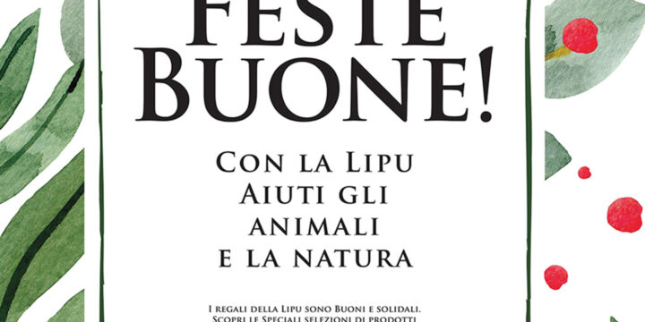 Un Natale per la Natura 2021. A Palermo stand Lipu con prodotti bio davanti la Feltrinelli!