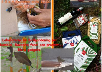 3-4 dicembre 2022: Un Natale per la Natura a Villa Tasca! prodotti Bio e laboratorio sul Birdgardening per bambini
