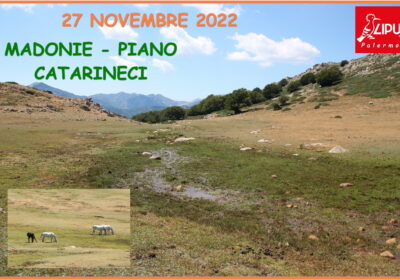 DOMENICA 27 NOVEMBRE 2022 ESCURSIONE PIANO CATARINECI – MADONIE – PETRALIA SOTTANA