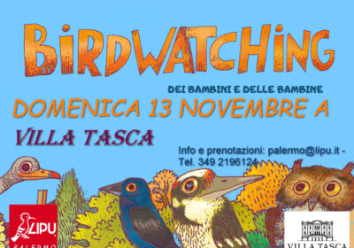 Domenica 13 novembre 2022: al Parco Villa Tasca mini corso birdwatching per bambini e bambine, biowatching, disegno e collage creativi!
