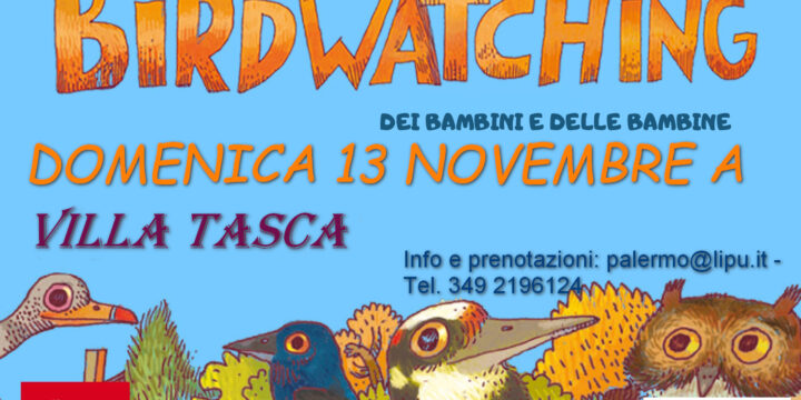 Domenica 13 novembre: al Parco Villa Tasca mini corso birdwatching per bambini e bambine, biowatching, disegno e collage creativi!