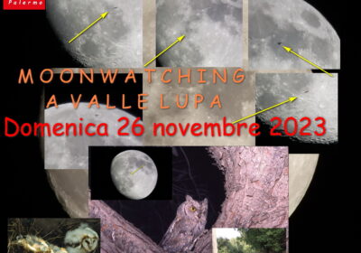 QUELLI DELLA NOTTE: domenica 26 novembre a Valle Lupa con moonwatching e osservazione dei rapaci notturni
