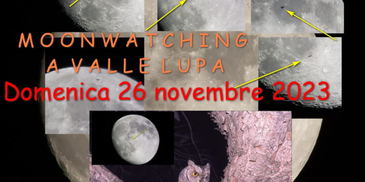 QUELLI DELLA NOTTE: domenica 26 novembre a Valle Lupa con moonwatching e osservazione dei rapaci notturni