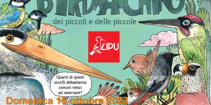 DOMENICA 15 OTTOBRE 2023 PARCO DI VILLA TASCA:LA GRANDE CHALLENGE DEL BIRDWATCHING PER PICCOLI E PER PICCOLE